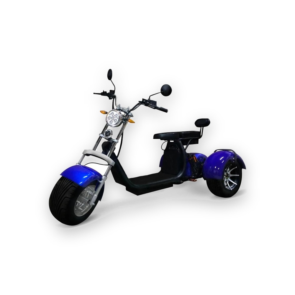 Электроскутер трехколесный CityCoco Skyboard BR-60 PRO VIP 2000W 20AH/60V Trike