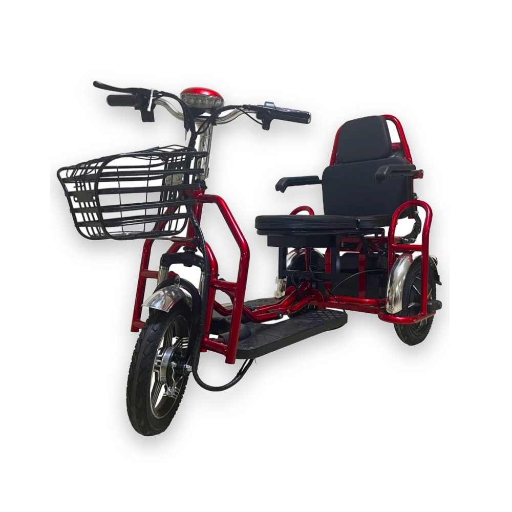 Электротрицикл Elbike Адъютант Double Twix A4 (2x350W 48V 20Ah) Trike
